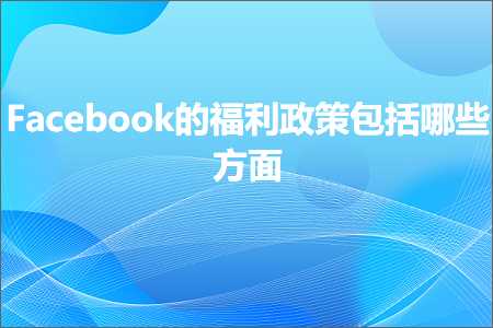 跨境电商知识:Facebook的福利政策包括哪些方面